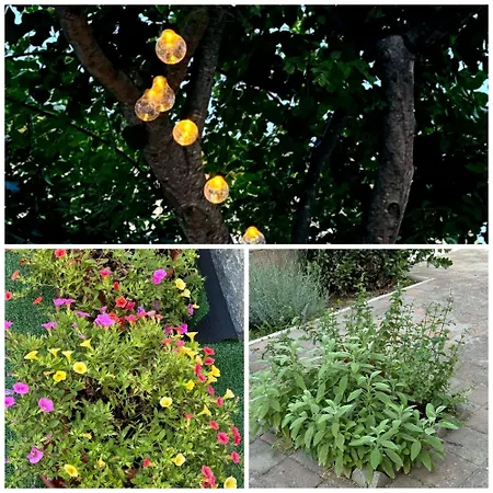 Casa Tra Mare E Campagna In Toscana * チェチナ